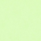 OnlyFansのプロフィール写真 noworriesmylove