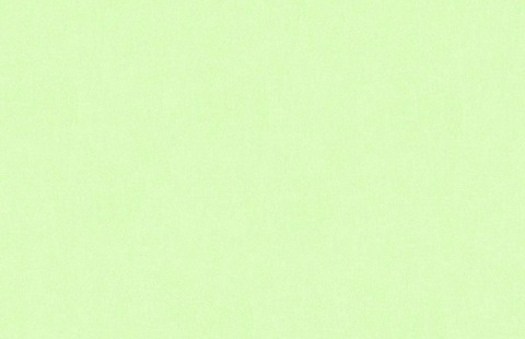 OnlyFansヘッダー画像noworriesmylove