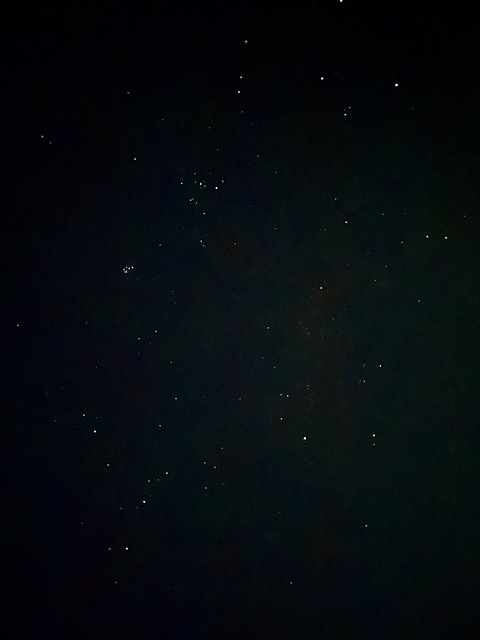 Снимка за заглавие на OnlyFans nudefinelines