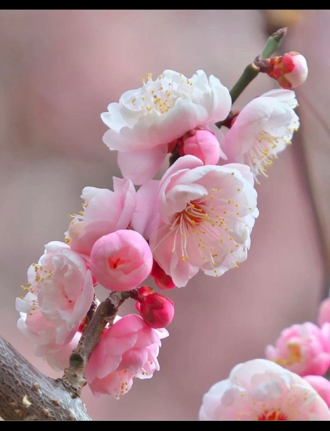 Gambar header OnlyFans oky.lucy