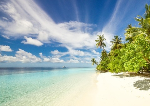 Imagem do cabeçalho do OnlyFans de pabloescobone