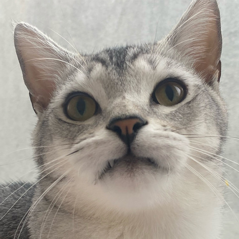 Photo d'en-tête OnlyFans de pariswycherley