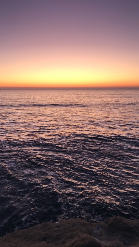 Imagem do cabeçalho do OnlyFans de patdogg12