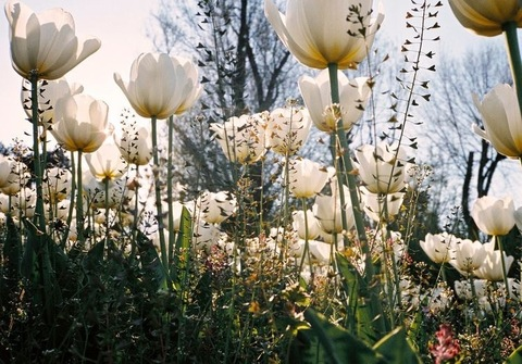 Immagine dell'header di OnlyFans paygoddessevie