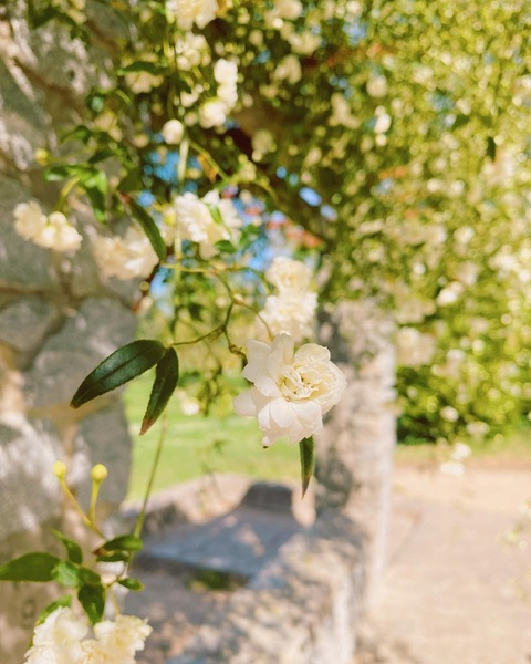 ओन्लीफैंस हैडर चित्र pearshapedblonde