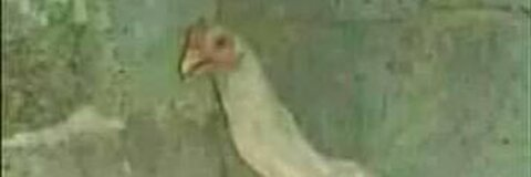 Header afbeelding van OnlyFans pereir0n