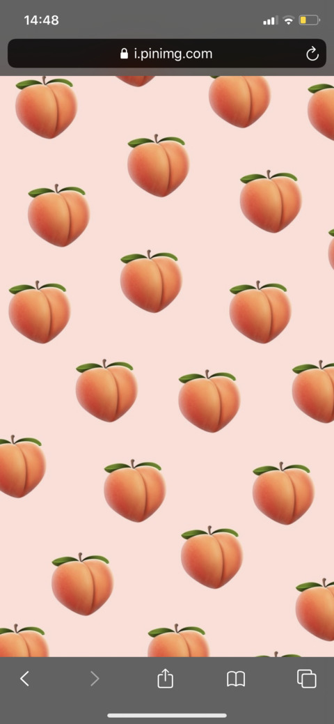 OnlyFansヘッダー画像pexchyx