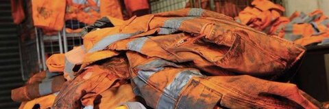 ओन्लीफैंस हैडर चित्र phatphallus