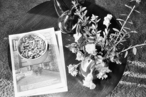 Imagem do cabeçalho do OnlyFans de phelineza