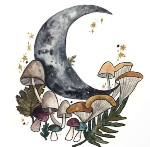 Header afbeelding van OnlyFans pineapplebratt79