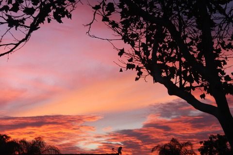 Photo d'en-tête OnlyFans de plntbby