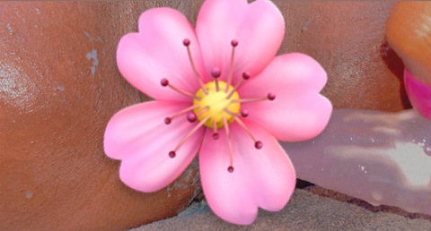 Zdjęcie nagłówka OnlyFans pocketfullofsunshine26