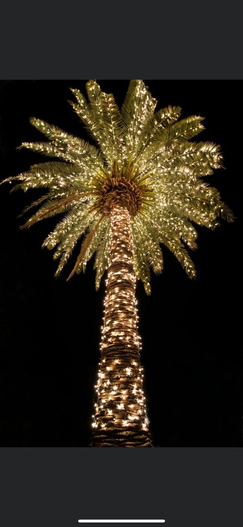 ओन्लीफैंस हैडर चित्र princeassvip