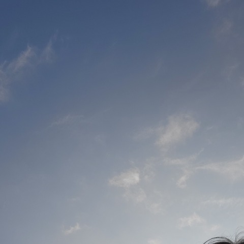 OnlyFans header picture purpleamelia