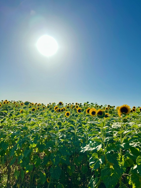 queencxmi님의 OnlyFans 헤더 사진