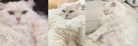 Immagine dell'header di OnlyFans quqco