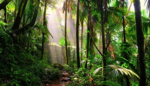 Gambar header OnlyFans raarii