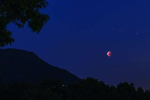 ओन्लीफैंस हैडर चित्र raccoon1069