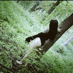 Nur ein Profilbild von OnlyFans von ravenreigns