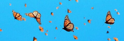 OnlyFansヘッダー画像rayraywhit