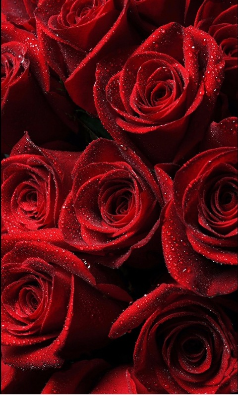 OnlyFans Titelbild redbaby01