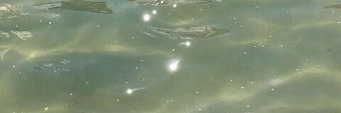 OnlyFans header picture reg_gomez