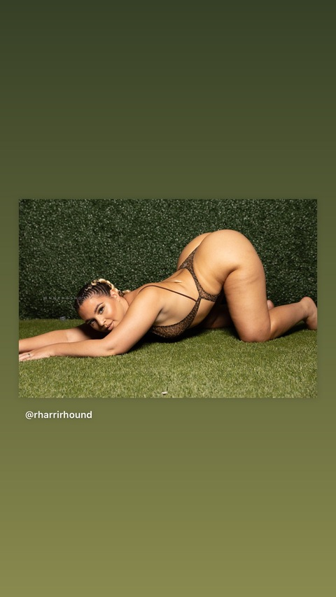 OnlyFans header picture rharrirhound