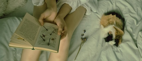 Immagine dell'header di OnlyFans rinaalyys