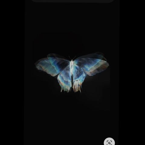 OnlyFans header picture romandenisss