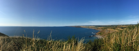 OnlyFans Titelbild rosie224