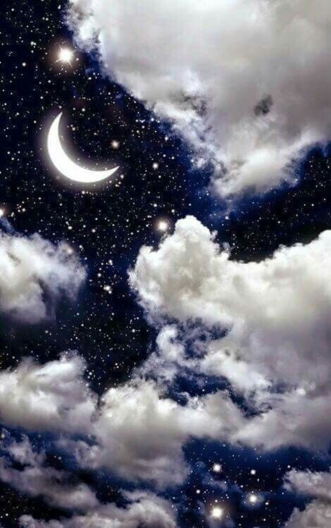 OnlyFans header picture roxyfox