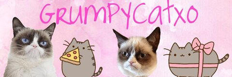 OnlyFans header picture sabrinaxo