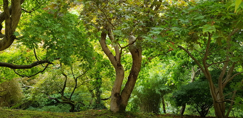 Снимка за заглавие на OnlyFans sammiemarie