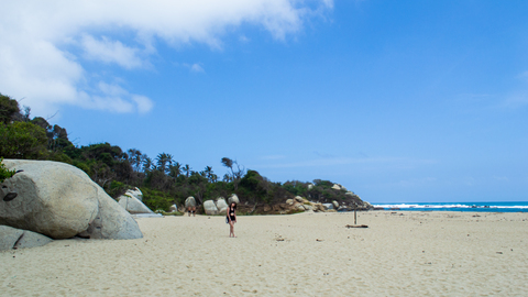 صورة رأس OnlyFans sarahdressler