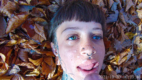 sarahs.mercier님의 OnlyFans 헤더 사진