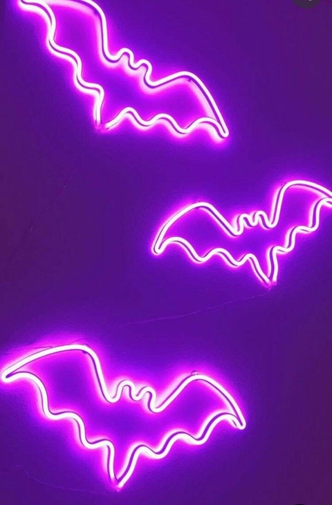 Gambar header OnlyFans savannahsteel