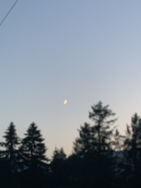 Imagem do cabeçalho do OnlyFans de segodnyai