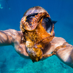 OnlyFans 프로필 사진 shangerdanger