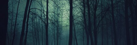 OnlyFans header picture shows