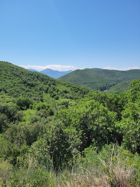 silentninja6님의 OnlyFans 헤더 사진