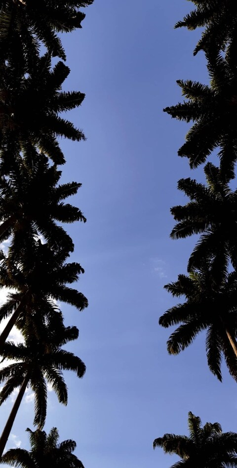 Снимка за заглавие на OnlyFans skatist23cm