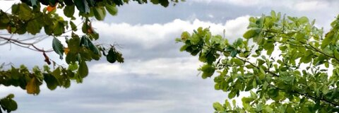 Photo d'en-tête OnlyFans de slap_tastik