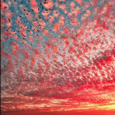 OnlyFans başlık resmi snixxxxx