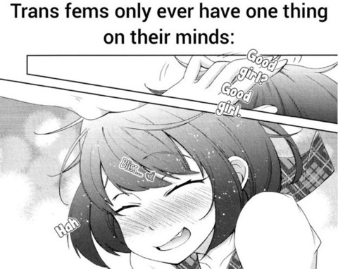 OnlyFansヘッダー画像sophianoire