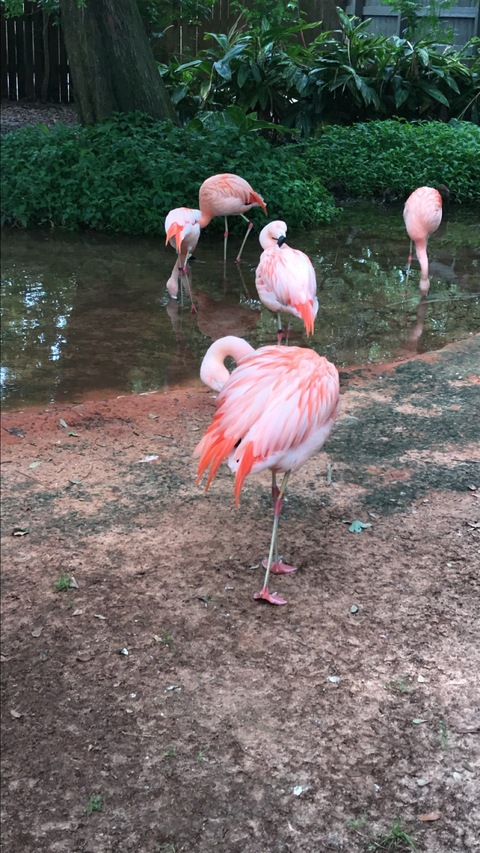 OnlyFans header picture stephthestar