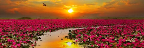 Снимка за заглавие на OnlyFans sthomisthebomb