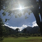 Immagine del profilo OnlyFans di stormi