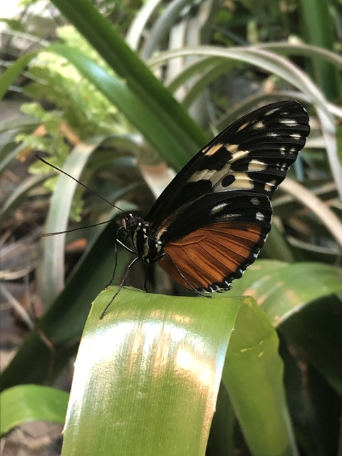 strawberrymilk님의 OnlyFans 헤더 사진