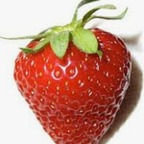 Foto profil OnlyFans sugarlicia