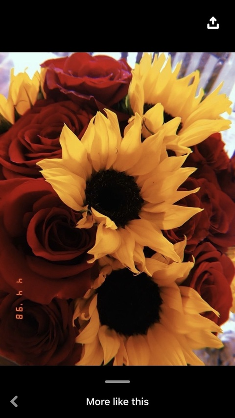 ओन्लीफैंस हैडर चित्र sunshinecortez